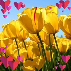 Meet your Posher, Evelyn